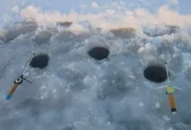 правилно нарежете