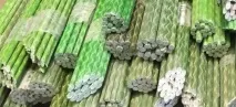 колчета