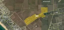 околностите цибанобалка