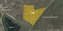 феникс цибанобалка
