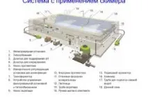 басейн страната