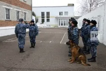селско стопанство