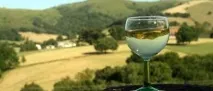 Самі з вусами - Blog Archive Заморожування овочів blog