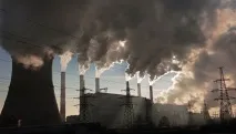 тец-а отново