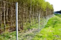 Сітка для огорожі види, способи встановлення (фото) огорожі