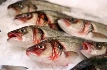 Сирок (пелядь) риба опісторхозна чи ні є паразити риба