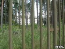Сім’я казахського біженця чекає на депортацію з Чехії після втечі до Швеції чехії