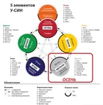 китайската китайската