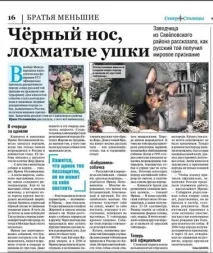 развъдник кученца