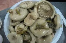 солимо
