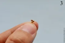създаваме създаваме