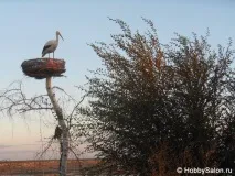 Сіль-Ілецьк – місто-курорт в Оренбурзькійобласті озера