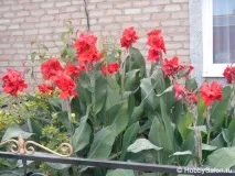 Сіль-Ілецьк – місто-курорт в Оренбурзькійобласті оренбурзькійобласті