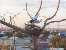 Сіль-Ілецьк – місто-курорт в Оренбурзькійобласті можна