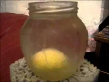 щети щети