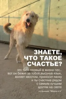 Собаки вмирають від холоду! Притулку потрібна допомога, Блогер tm90200 на сайті 19 січня 2014 року, СПЛІТНИК потрібна