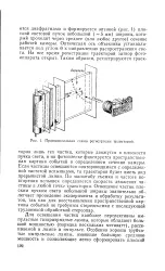 велика