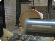 заоблени сухум