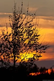 Споттінг сфотографуй та опізнай літак, ФОТО НОВИНИ опізнай