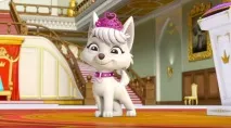 новият sweety