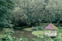 Весілля Лілії та Олександра Олександра