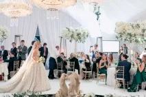 Весілля Лілії та Олександра весілля