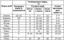 Температура води для риб температура