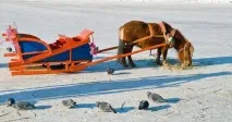 покататися