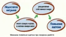 Запах ацетону з рота у дорослого причини і що робити дорослого