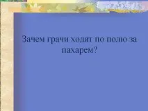 rooks разхождат