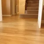 стаи полагане