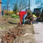 Вчимося робити ЖИВУ ВИГОРОД (ЗАБІР), Сайт для допитливих живу