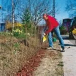 Вчимося робити ЖИВУ ВИГОРОД (ЗАБІР), Сайт для допитливих живу