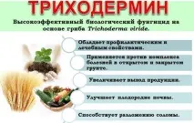 Триходермін інструкція із застосування препарату інструкція