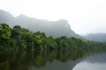 всичко вида