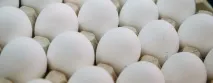 извара зареждане