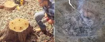 относително пънчета
