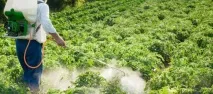 Триходермін інструкція із застосування препарату застосування