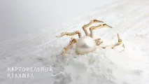 Догляд за ювелірними прикрасами від А до Я. вироби