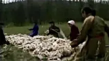 Валяння кошми – прототип нунофелтингу! - Ярмарок Майстрів валяння