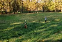 Захоплюючі «Находілки» в осінньому лісі. находілки