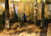 Захоплюючі «Находілки» в осінньому лісі. запису