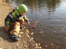 Захоплюючі «Находілки» в осінньому лісі. запису