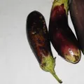 персия маска