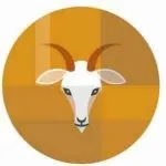 володина василиса