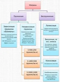 избор избор