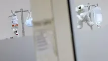 оцеляването оцеляването