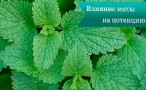 ментата върху