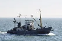 У Таганрозькій затоці бур’яна риба витіснила цінні породи - українська газета таганрозькій