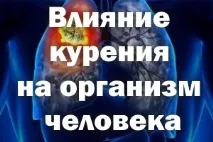 тютюнопушенето върху
